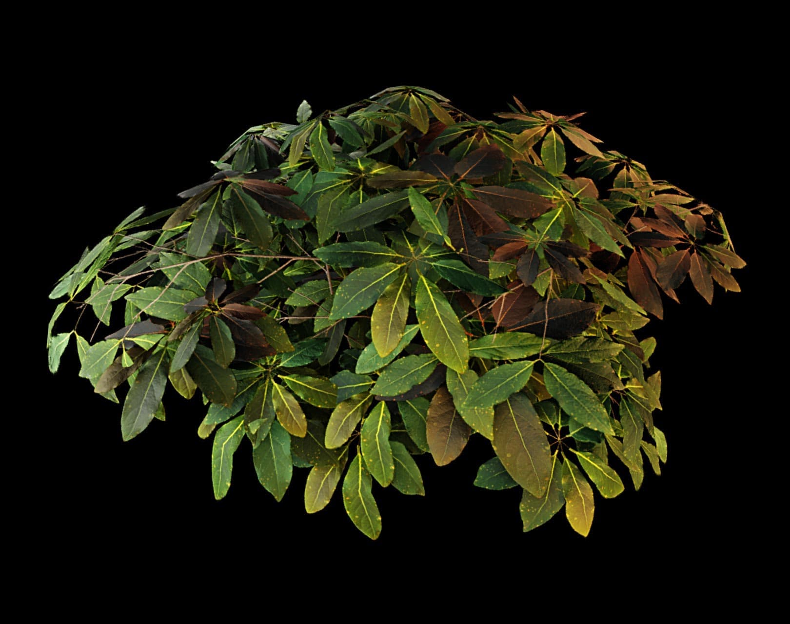 مش با تنظیمات ظاهر سطح (SurfaceAppearance)
